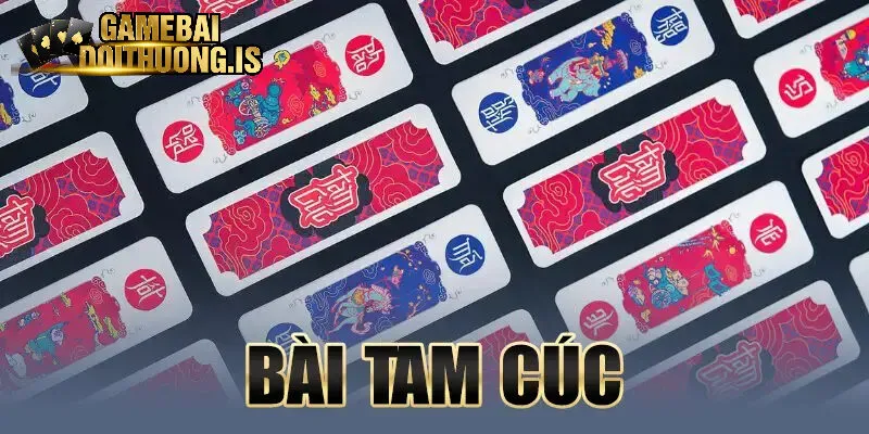 tam cúc nhatvip
