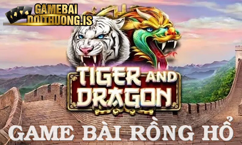 Rồng Hổ Vicwin